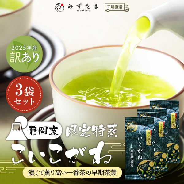 訳あり 2025年産 お茶 茶葉 緑茶 お茶の葉 100g×3袋 静岡茶 煎茶 無添加 深蒸し茶 日本茶 セット 限定特蒸 こいこがね
