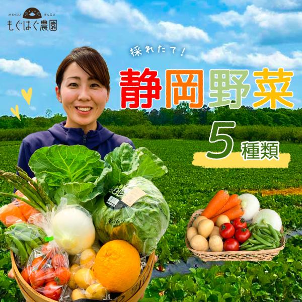 商品説明◆ 名称: 野菜セット◆ 原材料名: 静岡県野菜◆ 内容量: 静岡県野菜5品目◆ 賞味期限: 商品到着後、7日程度◆ 保存方法: 商品到着後、要冷蔵・野菜室(10℃以下)にて保存、出来るだけお早めにご賞味ください。◆ 製造者: もぐ...