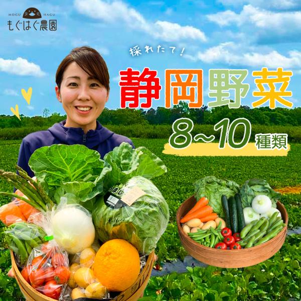 商品説明◆ 名称: 野菜セット◆ 原材料名: 静岡県野菜◆ 内容量: 静岡県野菜8〜9品目◆ 賞味期限: 商品到着後、7日程度◆ 保存方法: 商品到着後、要冷蔵・野菜室(10℃以下)にて保存、出来るだけお早めにご賞味ください。◆ 製造者: ...