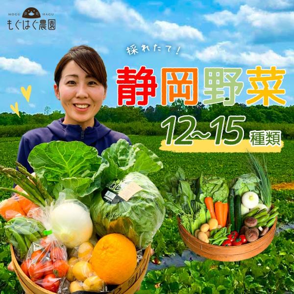 商品説明◆ 名称: 野菜セット◆ 原材料名: 静岡県野菜◆ 内容量: 静岡県野菜12〜13品目◆ 賞味期限: 商品到着後、7日程度◆ 保存方法: 商品到着後、要冷蔵・野菜室(10℃以下)にて保存、出来るだけお早めにご賞味ください。◆ 製造者...