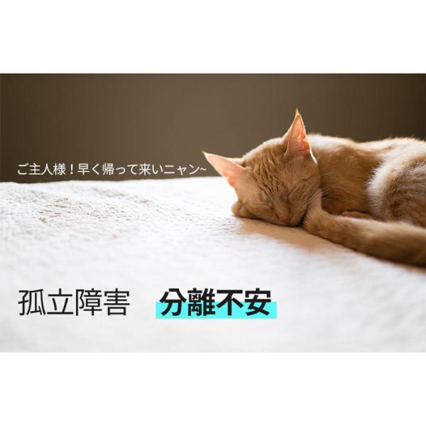 猫 犬 一人遊び 全自動 ボール 猫玩具 電動 猫おもちゃ ネコ 犬 おもちゃ オモチャ 玩具 子犬 ペット スマートローリングボール90min 犬 おもちゃ Buyee 日本代购平台 产品购物网站大全 Buyee一站式代购 Bot Online