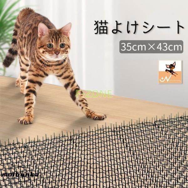 野良猫 maxresdefault.jpg