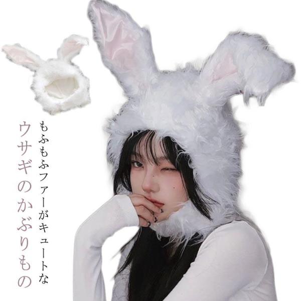 moibunka_p21281852e0d5