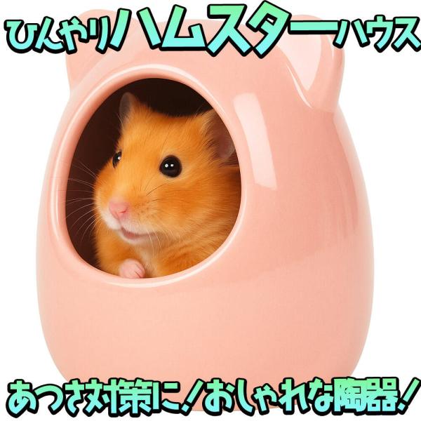 ハムスター モルモット ハリネズミ チンチラ フェレット 鳥 小動物