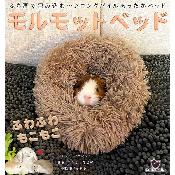 モルモット ハリネズミ チンチラ デグー フェレット プレーリードッグ