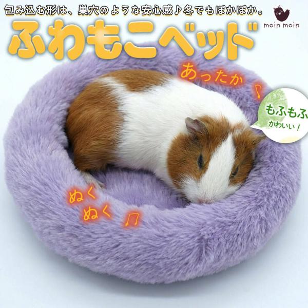 モルモット フェレット デグー チンチラ ペット 小動物 ハウス ベッド