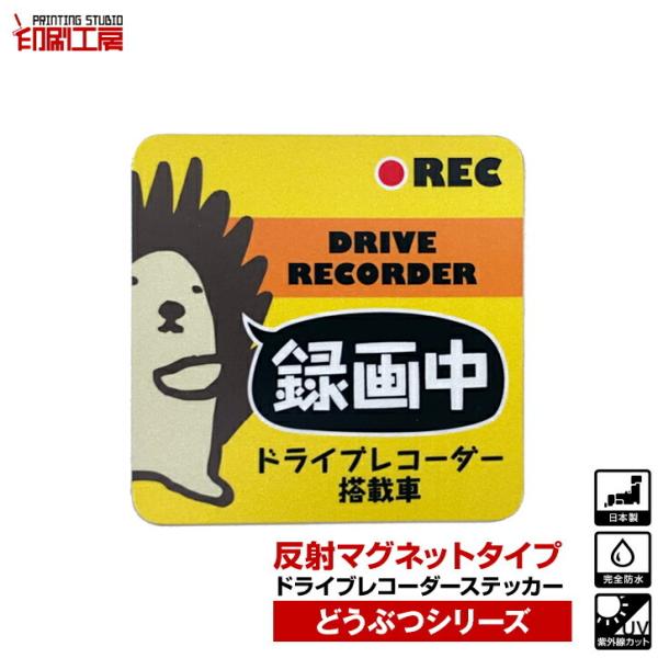 hCuR[_[w˃}OlbgxXebJ[ ǂԂV[Yw͂˂݁x