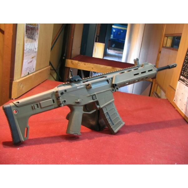 mokei-paddock_101500