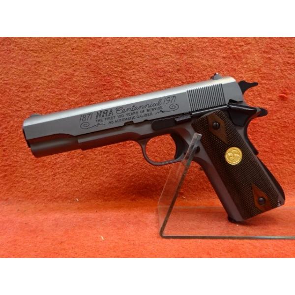 mokei-paddock_600457