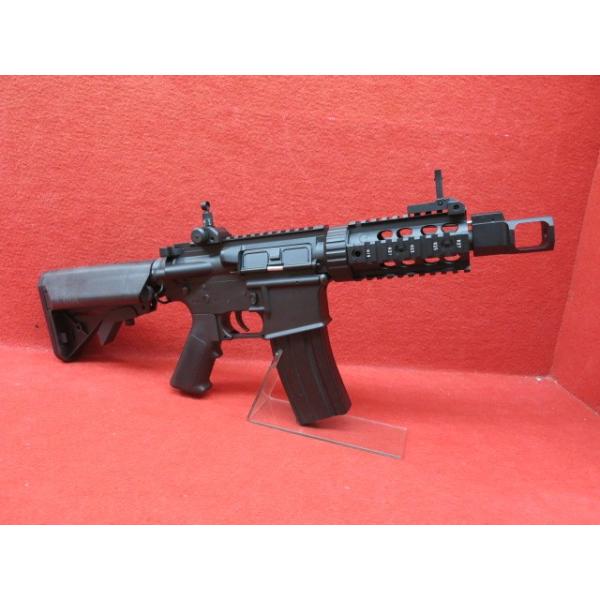 mokei-paddock_802294