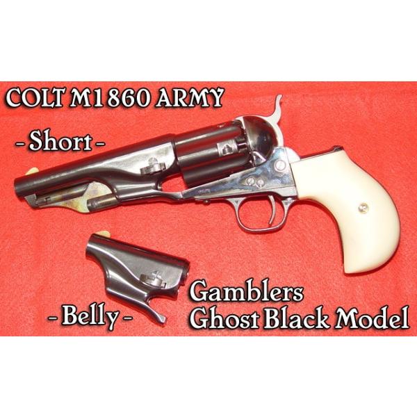 mokei-paddock_819763