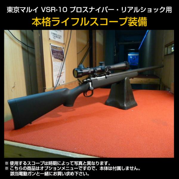 mokei-paddock_vsr107