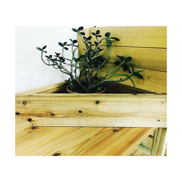 杉破風板乾燥プレナー仕上節有杉板棚板床板デッキ板プランター台花壇蜜蜂巣箱diy 日曜大工2m 30mm 150mm 6枚 1995 30 150 Buyee 日本代购平台 产品购物网站大全 Buyee一站式代购