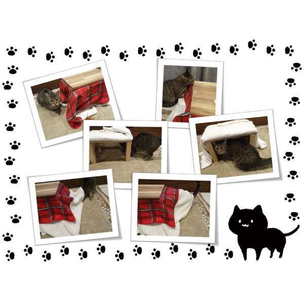 ねこのこたつ ネコ用コタツ 猫 小型犬 室内犬 小動物 冬用 ペット用品 キャットタワー 玩具 遊具 ねこちぐら 小さなテーブル おままごと 子供 おもちゃ Buyee Servis Zakupok Tretim Licom Buyee Pokupajte Iz Yaponii
