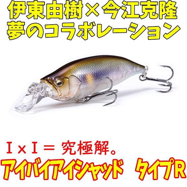 メガバス　アイバイアイシャッド　TYPE R セット IxI SHAD TYPE-R│MEGA-BU.COM
