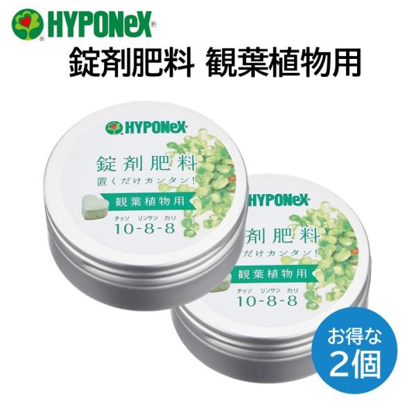 ハイポネックス 錠剤肥料 観葉植物用 2個 ハート型 鉢植え 1か月持続