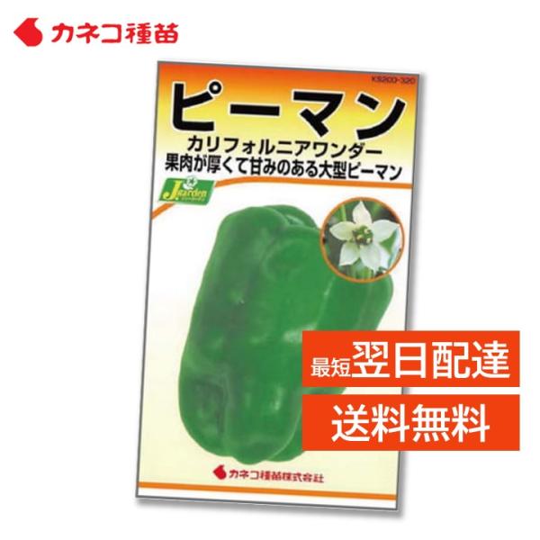 mokku-shop_k-piman-1ko