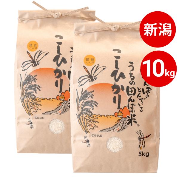 新潟 コシヒカリ 10kg 令和7年産 発送日当日精米 送料無料 (沖縄/九州/北海道除く) 産地直送 産直 おいしい お取り寄せ