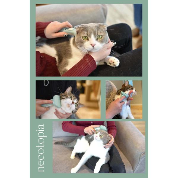 猫 ブラシ 犬 ペット 長毛 短毛 抜け毛取り 抜け毛除去 毛玉予防 ブラッシング アンダーコート グルーミング 毛とり おしゃれ 肌に優しい Mサイズ :nt-brush-m:モックストア - 通販 - Yahoo!ショッピング 猫 ブラシ 犬 ペット 長毛 短毛 抜け毛取り 抜け毛除去 毛玉予防 ブラッシング アンダーコート グルーミング 毛とり おしゃれ 肌に優しい Mサイズ :nt-brush-m:モックストア - 通販 - Yahoo!ショッピング