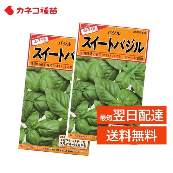mokku-shop_sweetbazil-2ko