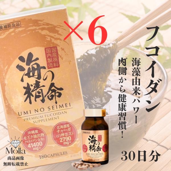 Fucoidan Umi no Seimei supplement