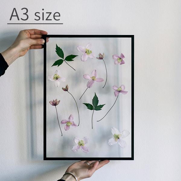 MOEBE 木製フォトフレーム A3サイズ対応 MOEBE｜FRAME フレーム A3