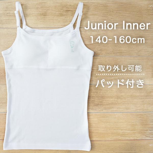 LbY WjA L~\[ Ci[ Jbvt  ̎q   q 140 150 160 cm GUNZE O[ pied clair sGN[ [։