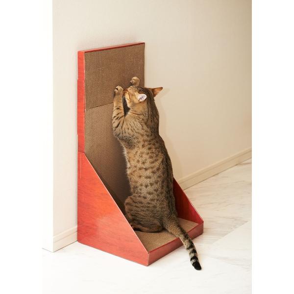 GCNGCc KKEH[XNN`[ ܂Ƃ