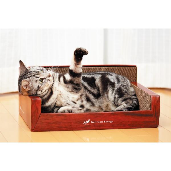 GCNGCc KKEWXNN`[ ܂Ƃ