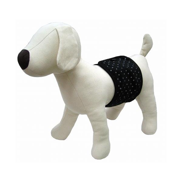 [ybgvWp] }i[xg  ubN^hbg i|Xgցj