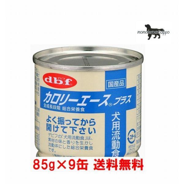 frt J[G[X vX p H 85g×9 