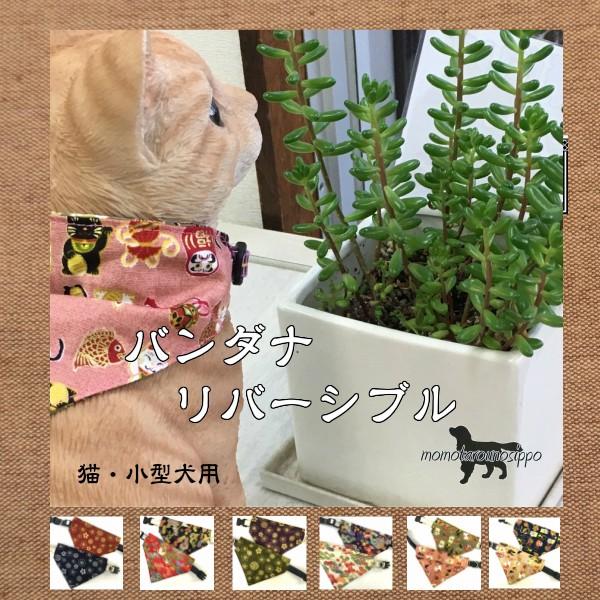 ybgpo_i OpXJ[t@LE^Ή a o[Vu  STCY i|Xgցj