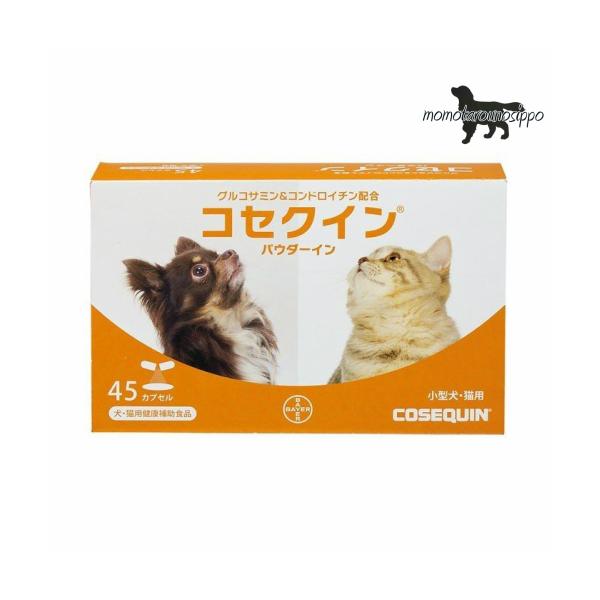 RZNC pE_[C 45JvZ GRWp ll4܂ŁI