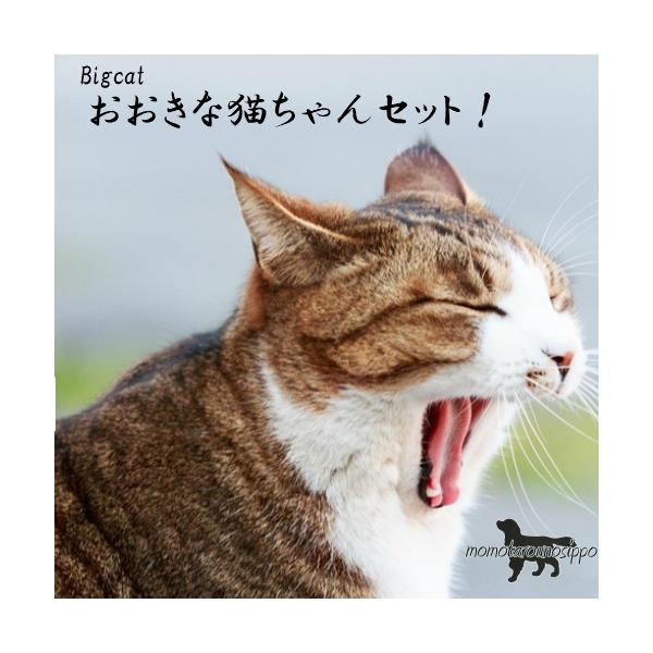 ȔLZbgIʌIxbg L PApi   Ȃ