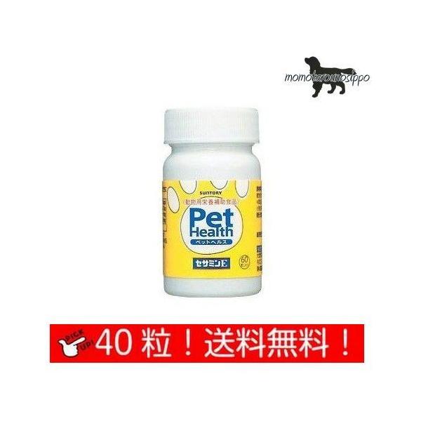  PET HEALTHiybgwXj ZT~E p  40JvZ  i|Xgցj