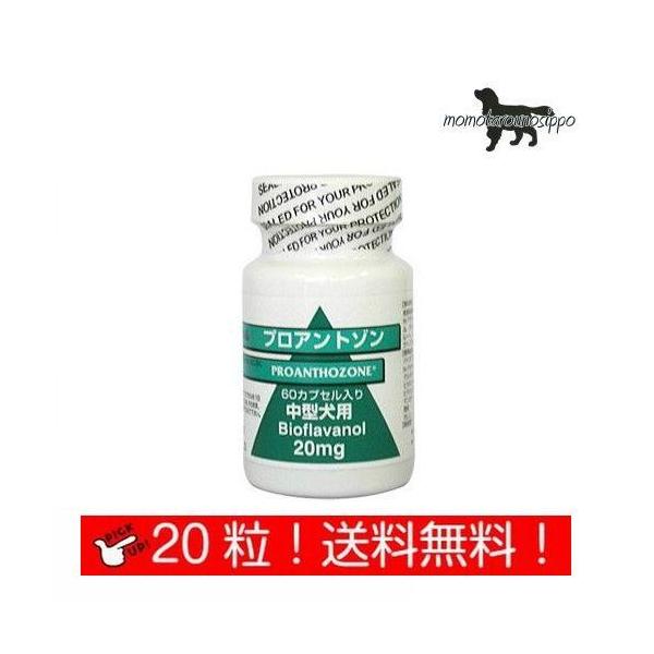  vAg] 20mg ^p  20JvZ  i|Xgցj