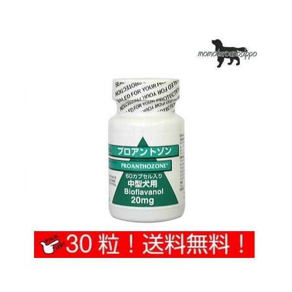  vAg] 20mg ^p  30JvZ  i|Xgցj