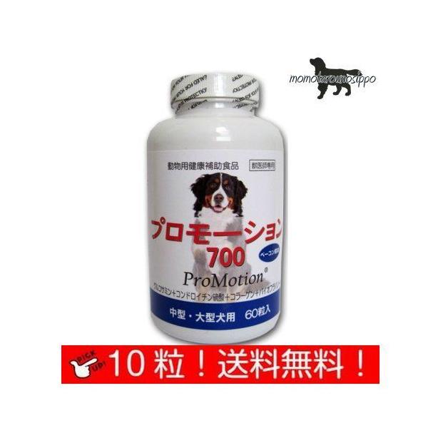  v[V700 ^E^p  ̏d12kg`23kg 11 10 i10j i|Xgցj