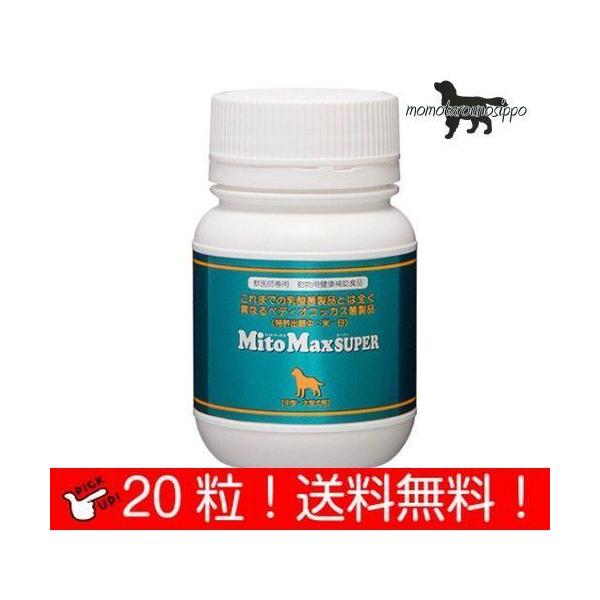 健康管理用品 犬用 マイトマックスの人気商品・通販・価格比較 健康管理用品 犬用 マイトマックスの人気商品・通販・価格比較
