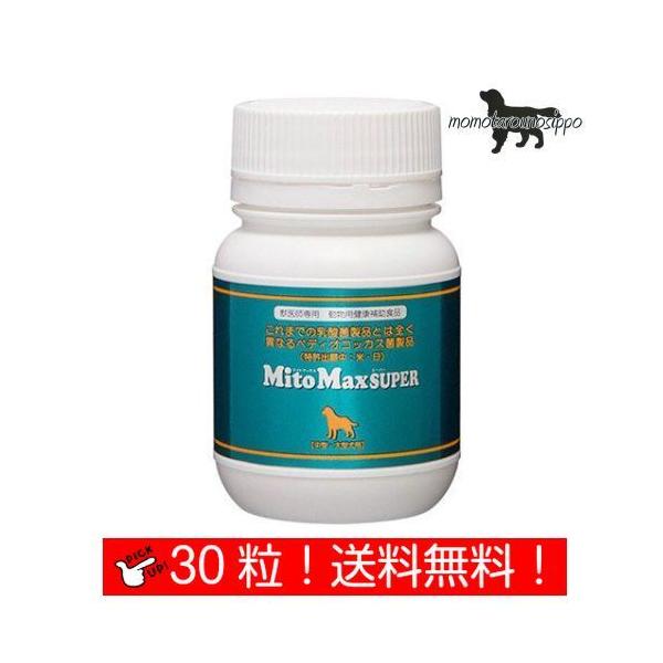  }Cg}bNX X[p[  30 ^ ^p i|Xgցj