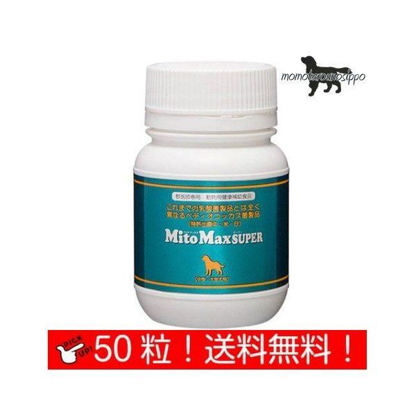  }Cg}bNX X[p[  50 ^ ^p i|Xgցj