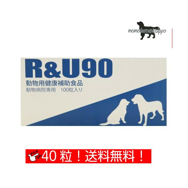  R&amp;U90 p 10×4V[g (40)  i|Xgցj