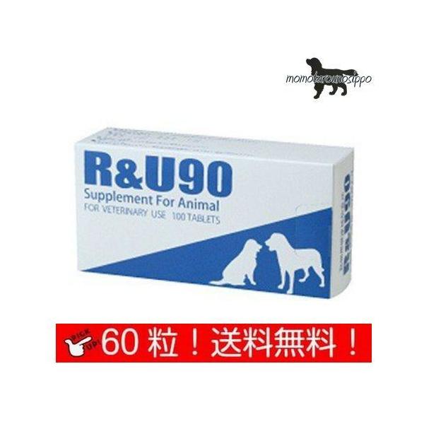  R&amp;U90 p 10×6V[g (60)   i|Xgցj