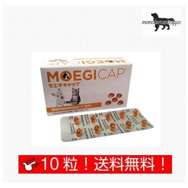  GMLbv y\tgJvZz p  ̏d1kg`19kg 1110 (10×1V[g) i|Xgցj