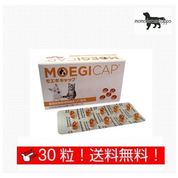  GMLbv y\tgJvZz Lp  30 (10×3V[g) i|Xgցj