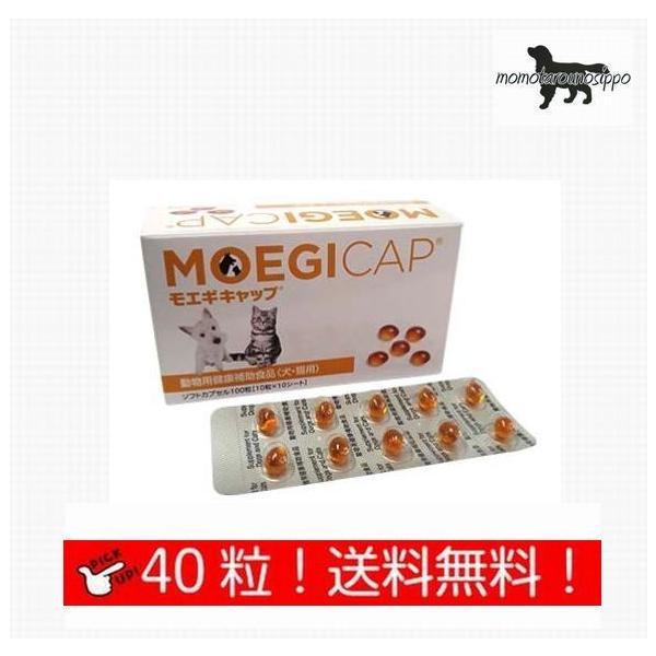  GMLbv y\tgJvZz Lp  40 (10×4V[g) i|Xgցj