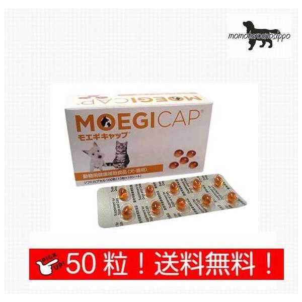  GMLbv y\tgJvZz Lp  50 (10×5V[g) i|Xgցj