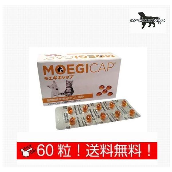  GMLbv y\tgJvZz Lp  60 (10×6V[g) i|Xgցj