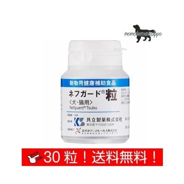  ltK[h  Lp 30 i|Xgցj