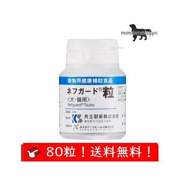  ltK[h  Lp 80 i|Xgցj